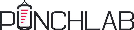 Punchlab